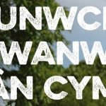Spring Clean Cymru 2025 Welsh