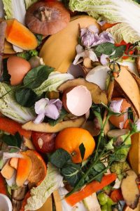 Food waste
